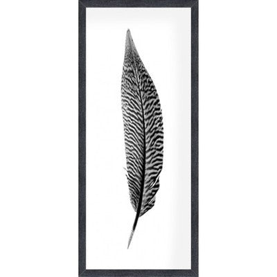 Feather III  44x114cm