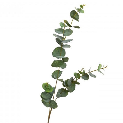 Eucalyptus Leaf Green