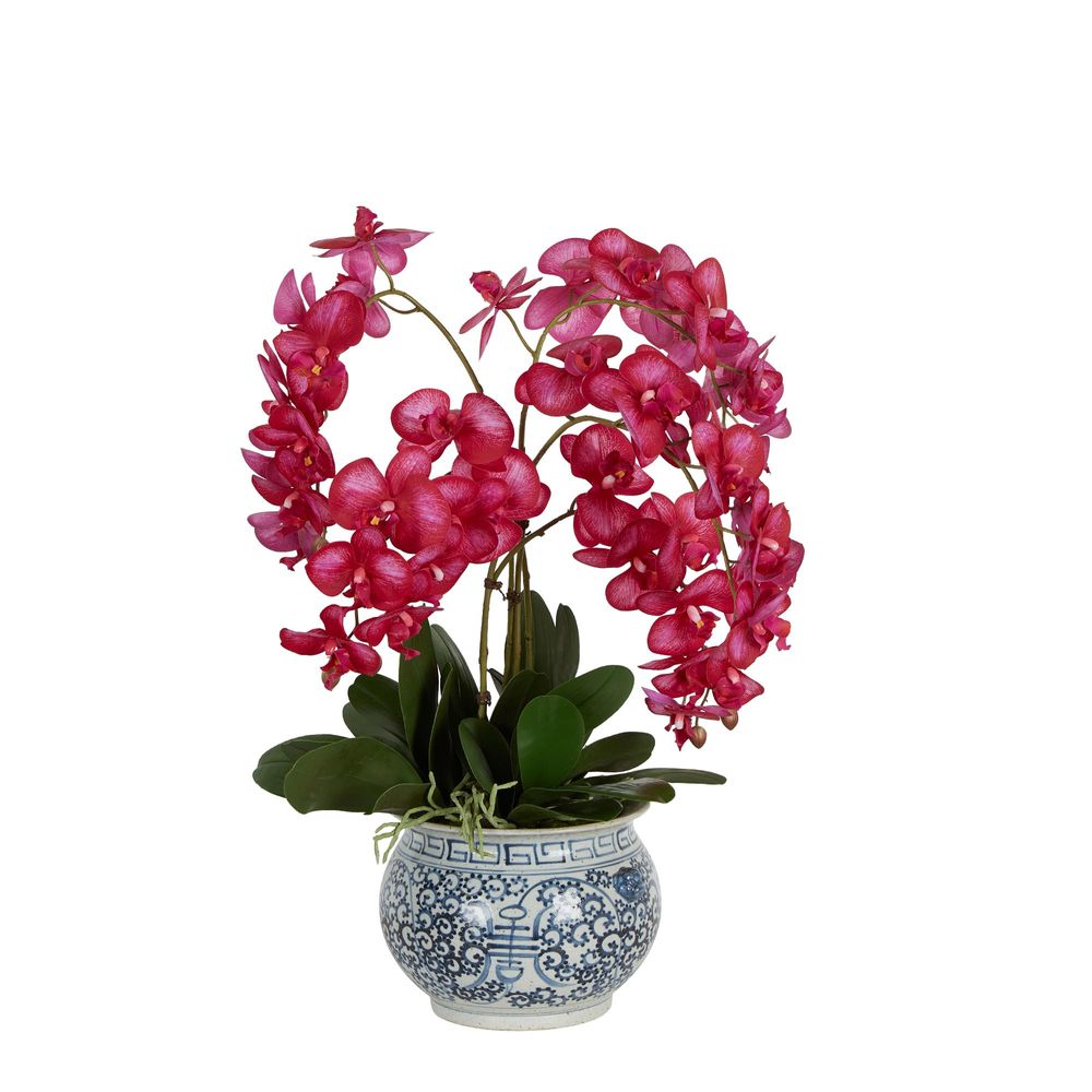 Mahiya Orchid Raspberry