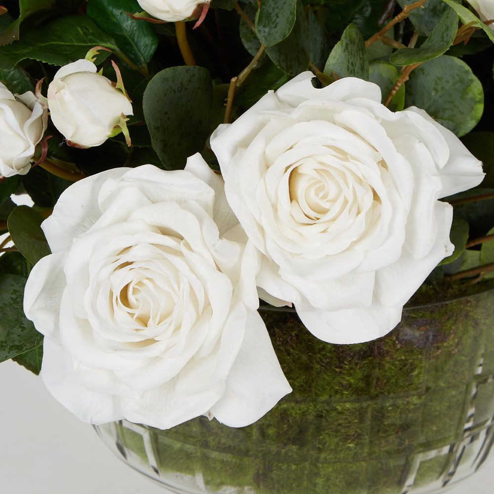 White Rose in Cerealia Urn