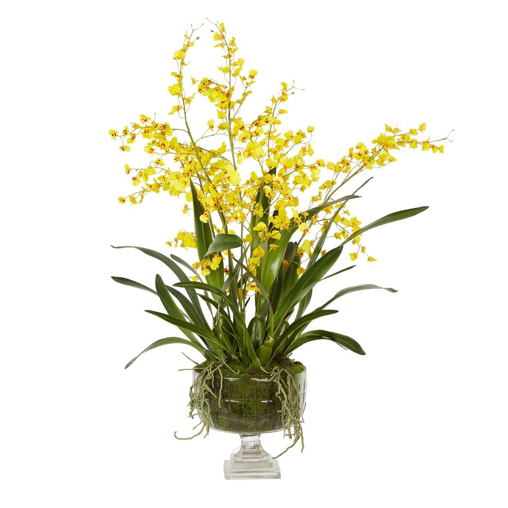 Dancing Orchid Yellow