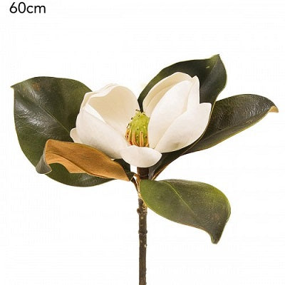 Magnolia Stem Small White
