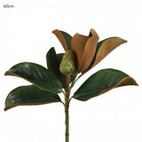 Magnolia Bud