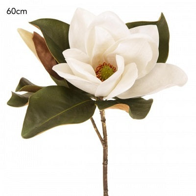 Magnolia Flower White