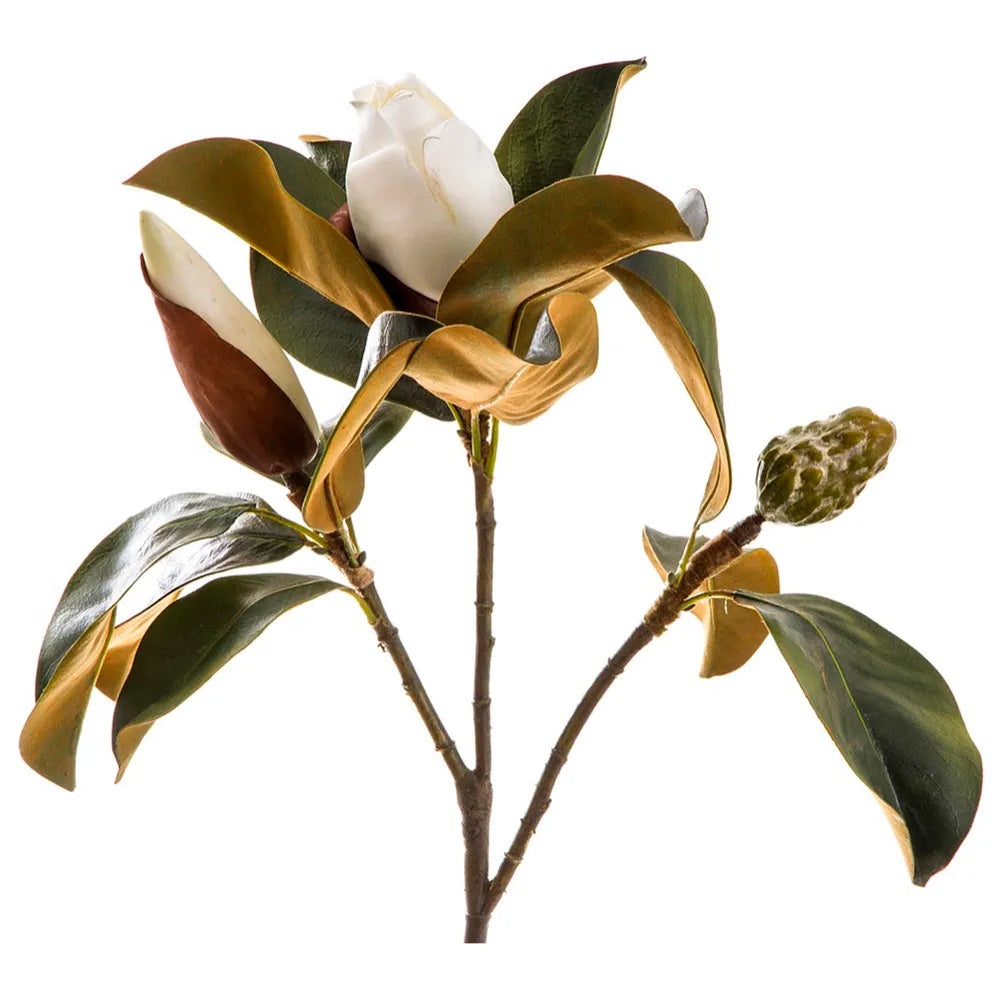 Magnolia Bud White