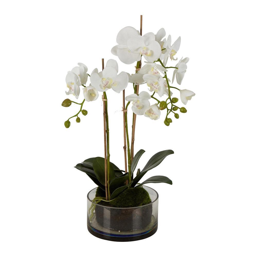 Orchid Round Glass Vase