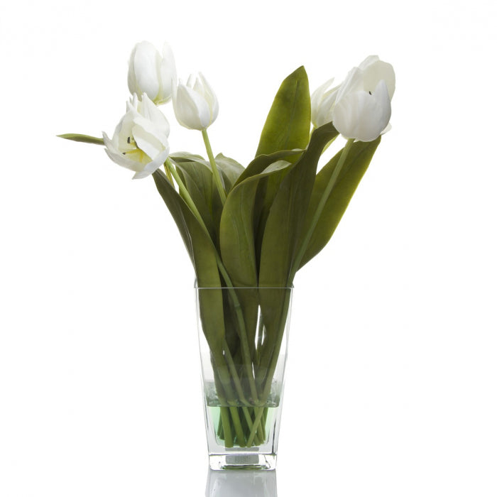 Tulips in Vase White