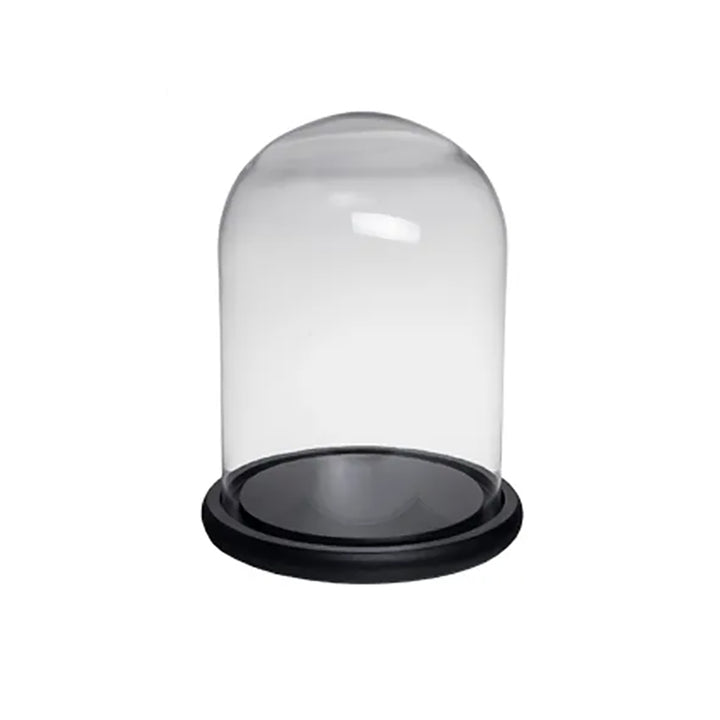 Glass Dome Medium