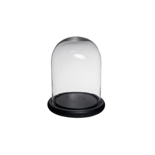 Glass Dome Small