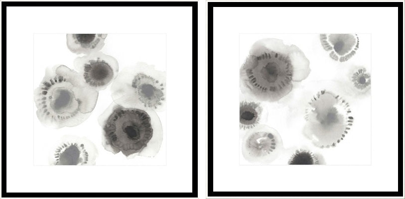 Concentric Petals II