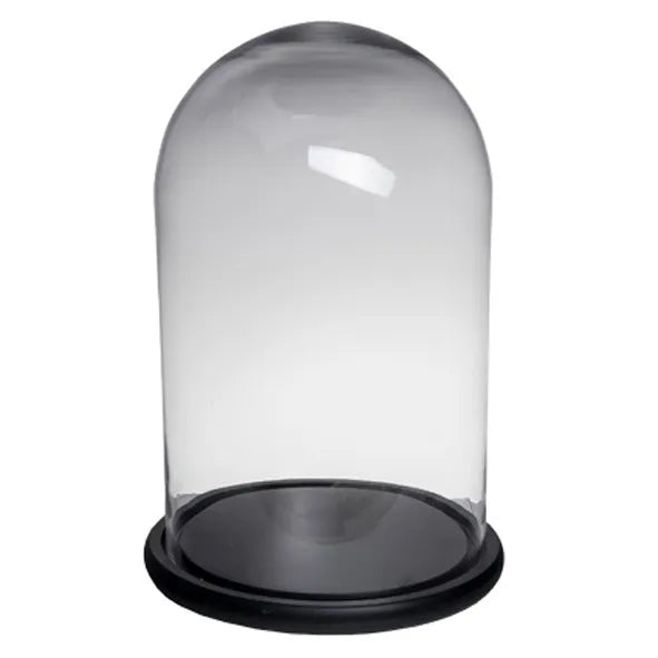 Glass Dome Tall & Wide